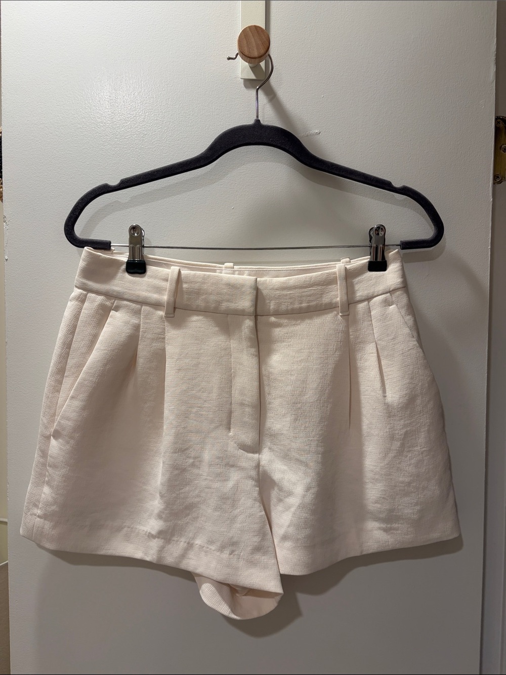 Aritzia Shorts